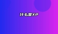 什么是XP