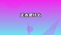 正太是什么