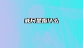 戒尺是指什么