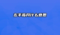 左手指月什么意思
