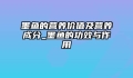 墨鱼的营养价值及营养成分_墨鱼的功效与作用