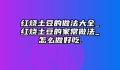 红烧土豆的做法大全_红烧土豆的家常做法_怎么做好吃.