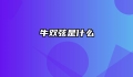 牛双弦是什么