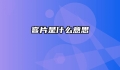 客片是什么意思