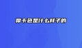 摩卡色是什么样子的