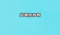 珍珠怕水吗