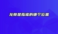 龙骨是指猪的哪个位置