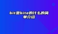 bit是bite的什么的简单介绍