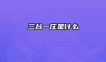 三台一庄是什么