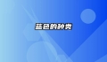 蓝色的种类