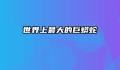 世界上最大的巨蟒蛇