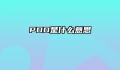 PDD是什么意思