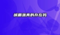 峨眉派真的存在吗