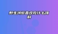野生河虾喜欢吃什么饵料