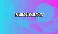孔庙的详细介绍