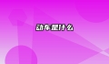 动车是什么