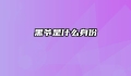 黑爷是什么身份