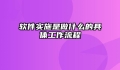 软件实施是做什么的具体工作流程