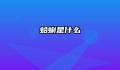 蛤蜊是什么