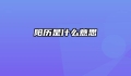 阳历是什么意思