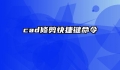 cad修剪快捷键命令