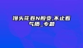 馒头花卷N般变,不止看气质_专题