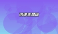 琅琊王是谁
