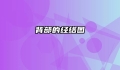 背部的经络图