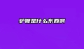 驴鞭是什么东西啊