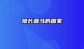 擅长画马的画家