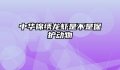 中华锦绣龙虾是不是保护动物