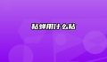 粘蝉用什么粘
