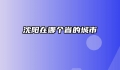 沈阳在哪个省的城市