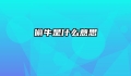 偷牛是什么意思