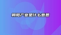 朝阳产业是什么意思
