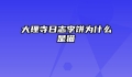 大理寺日志李饼为什么是猫