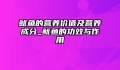 鱿鱼的营养价值及营养成分_鱿鱼的功效与作用