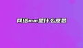 网络mm是什么意思