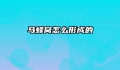 马蜂窝怎么形成的