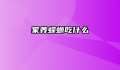 家养蝾螈吃什么