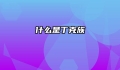 什么是丁克族