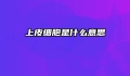 上皮细胞是什么意思