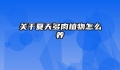 关于夏天多肉植物怎么养