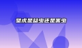 壁虎是益虫还是害虫