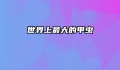 世界上最大的甲虫