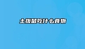 土拨鼠吃什么食物