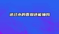 进过水的香烟还能抽吗