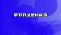 草书书法图片欣赏