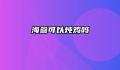 海参可以炖鸡吗