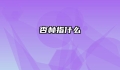 杏林指什么